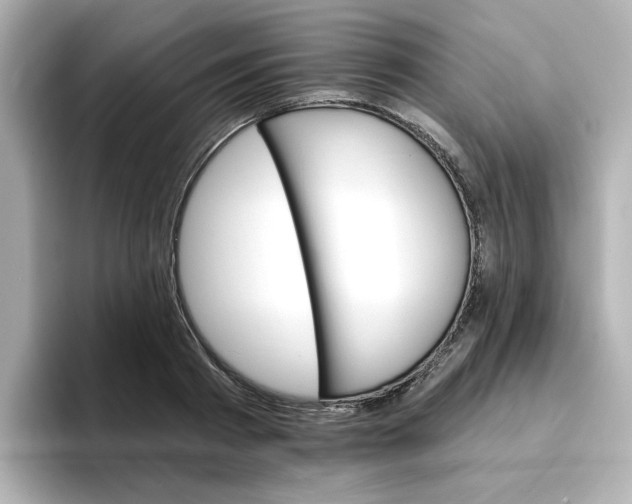 X0000096660793200802261341