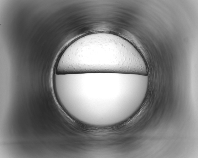 X0000096660795200802261341