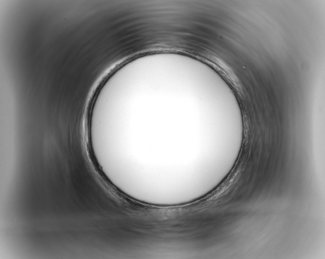 X0000096660796200802261341