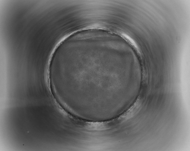 X0000096660800200802261341