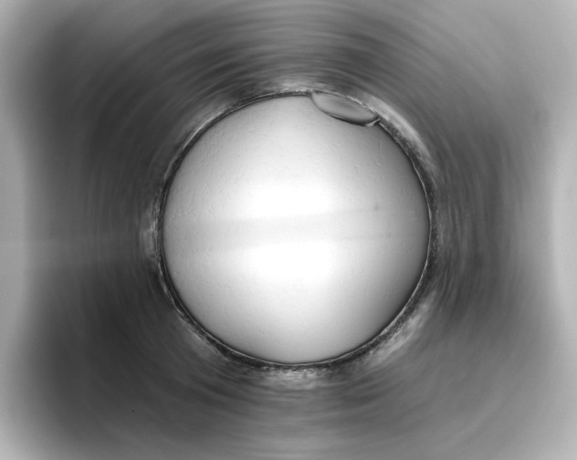 X0000096660801200802261341