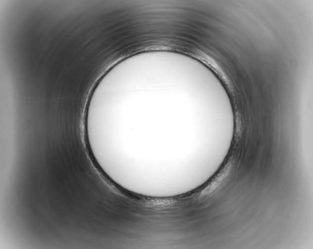 X0000096660802200802261341