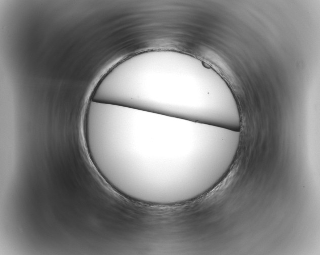 X0000096660804200802261341