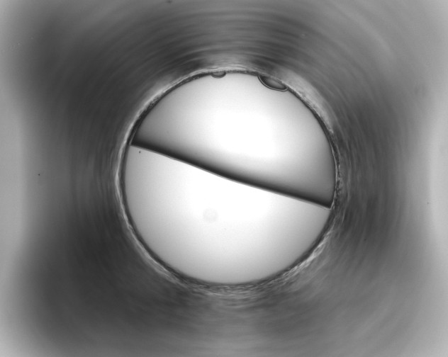 X0000096660805200802261341