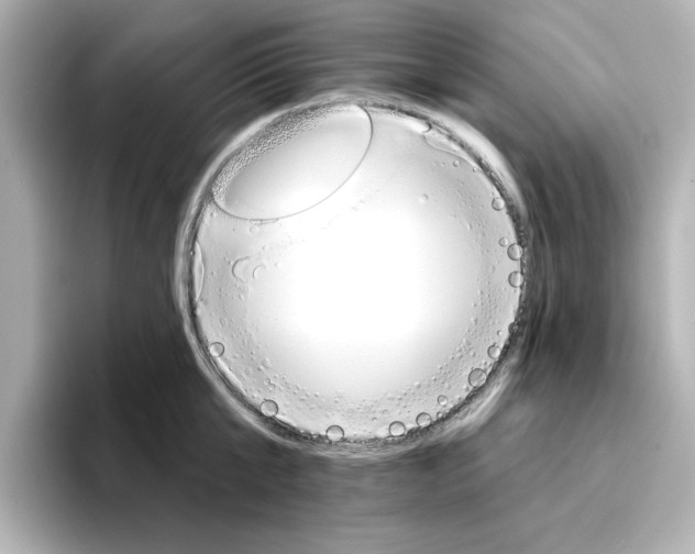 X0000096660807200802261341