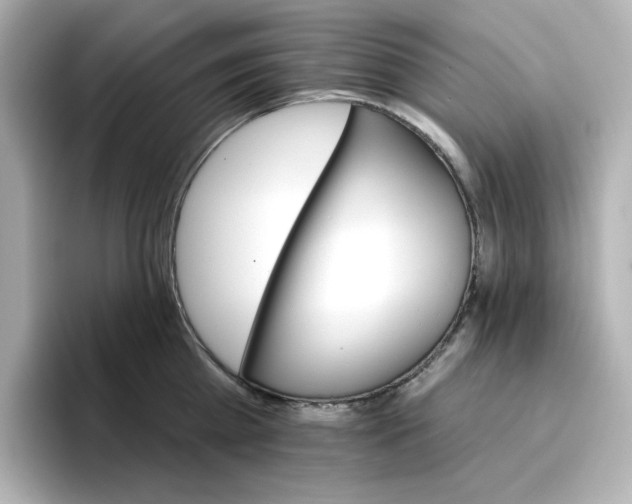 X0000096660809200802261341