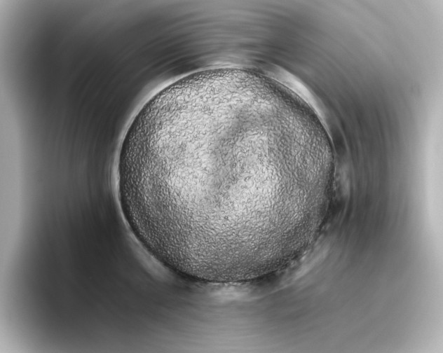 X0000096660811200802261341