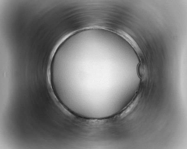 X0000096660812200802261341