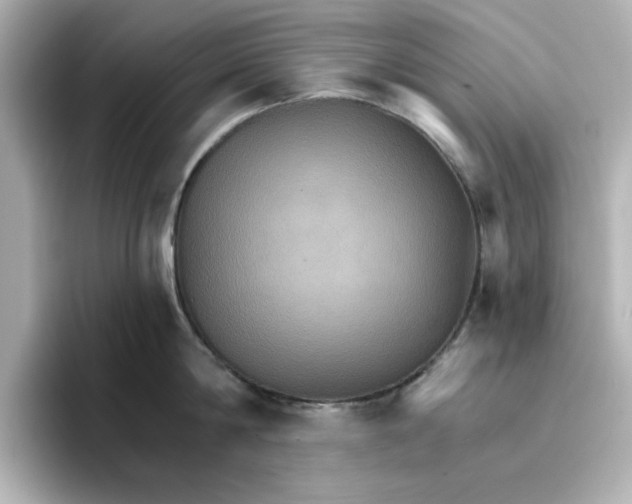 X0000096660814200802261341