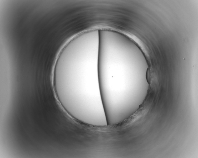 X0000096660815200802261341