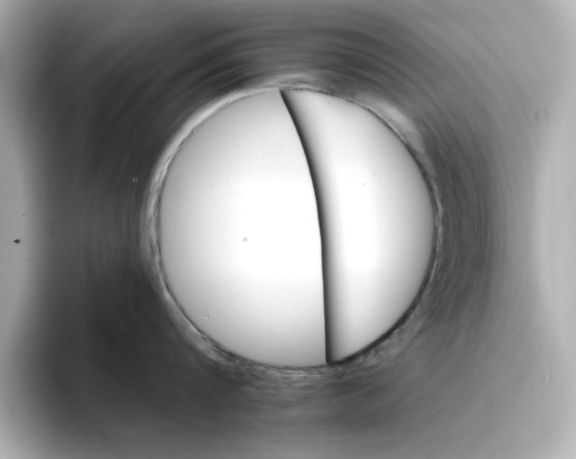 X0000096660816200802261341