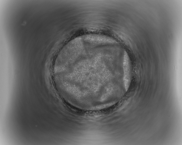 X0000096660817200802261340