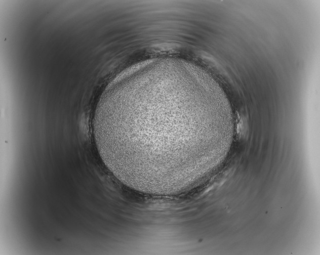 X0000096660819200802261340