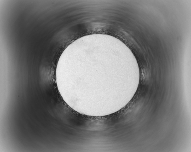 X0000096660820200802261340