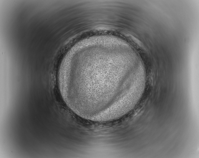 X0000096660821200802261340