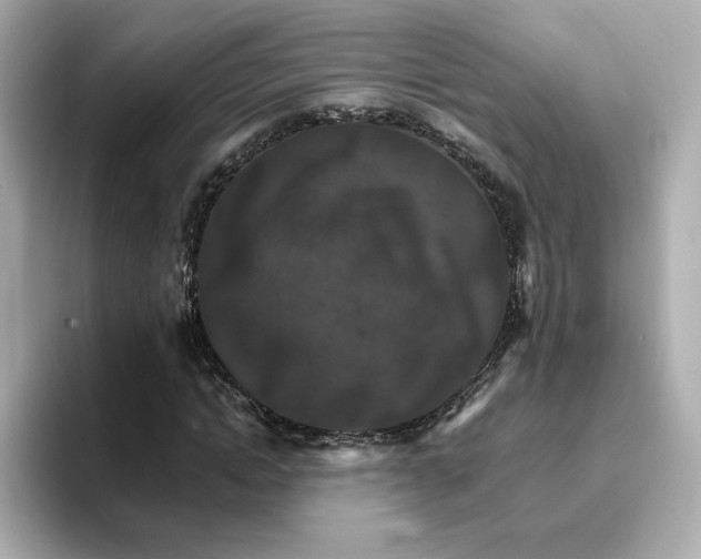 X0000096660822200802261340