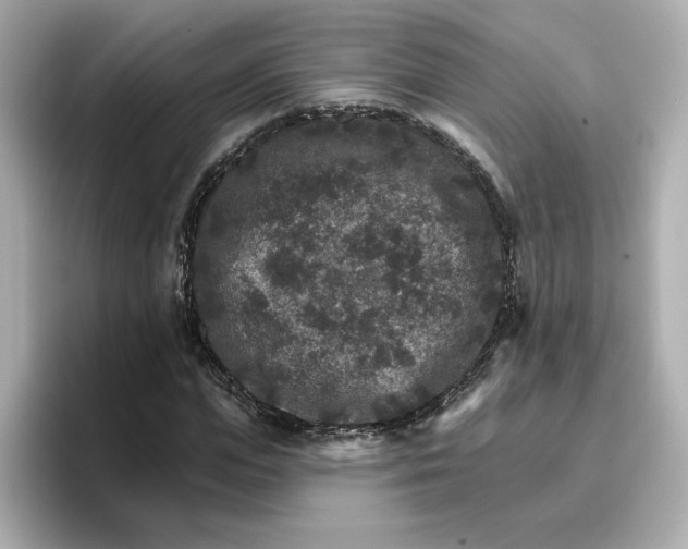 X0000096660823200802261340