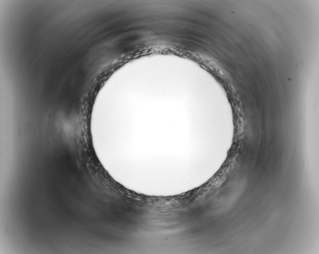 X0000096660824200802261340