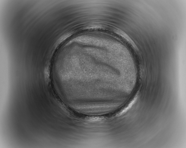 X0000096660826200802261340