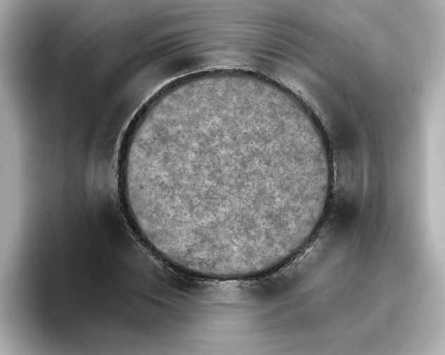 X0000096660828200802261340