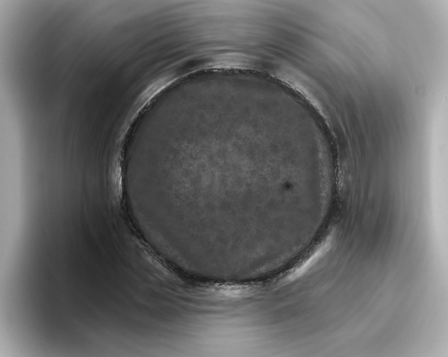 X0000096660829200802261341