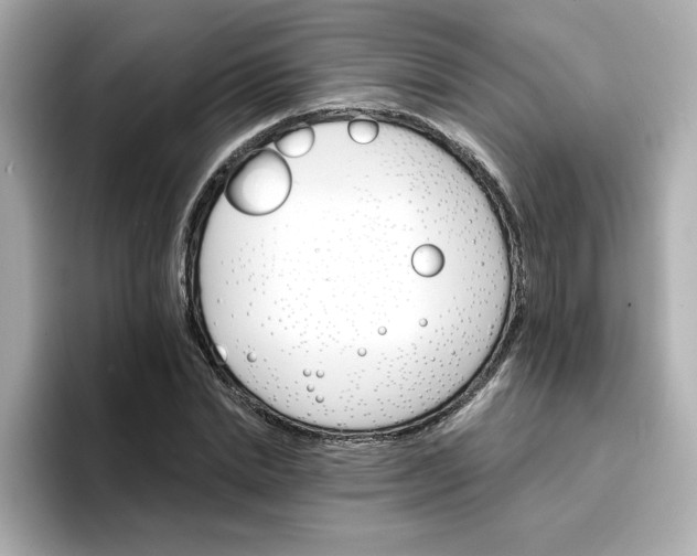 X0000096660830200802261341