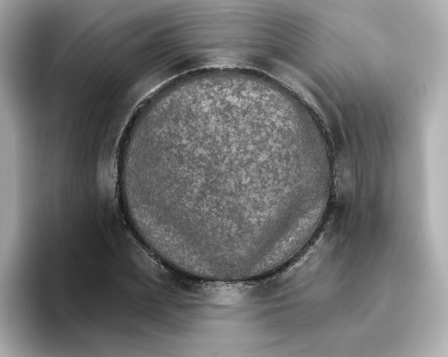 X0000096660831200802261341