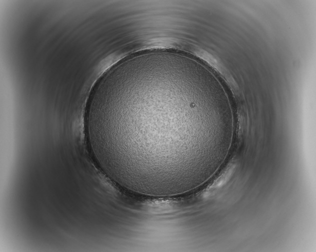 X0000096660834200802261341