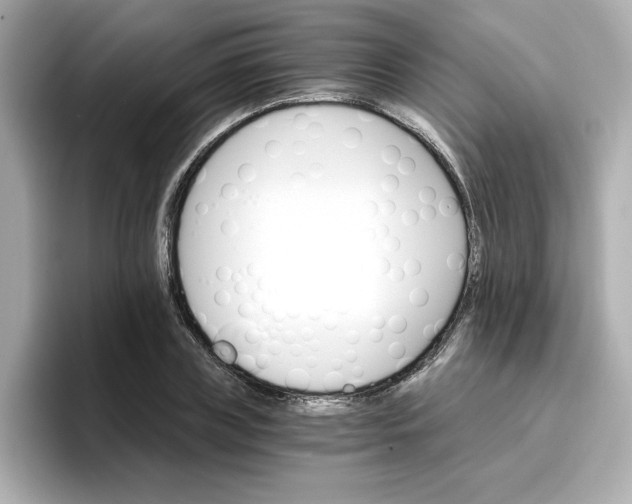 X0000096660835200802261341