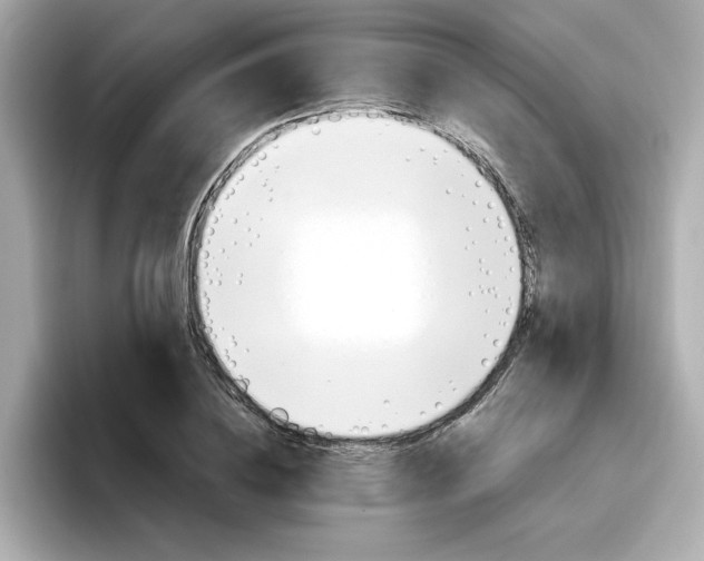 X0000096660836200802261341