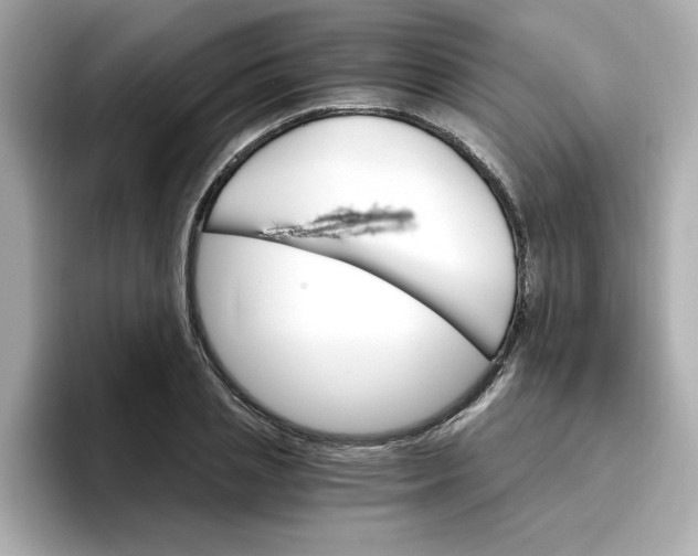 X0000096660837200802261341