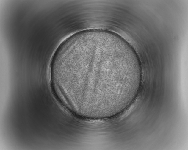 X0000096660838200802261341