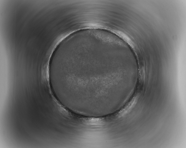 X0000096660839200802261341