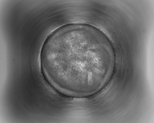 X0000096660840200802261341