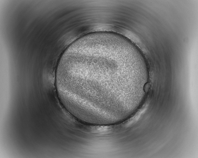 X0000096660841200802261341