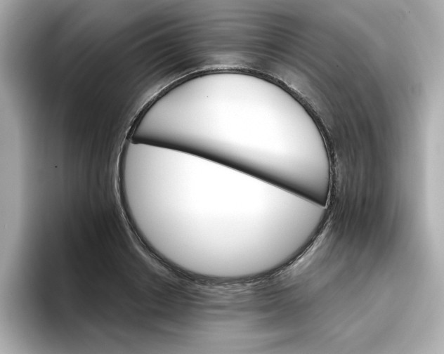 X0000096660842200802261341