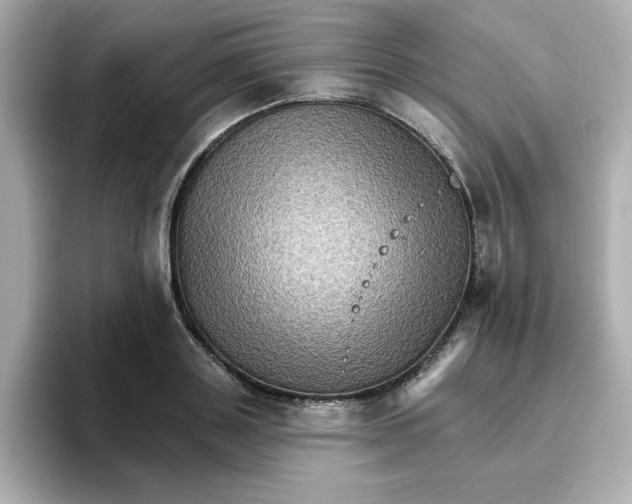 X0000096660843200802261341