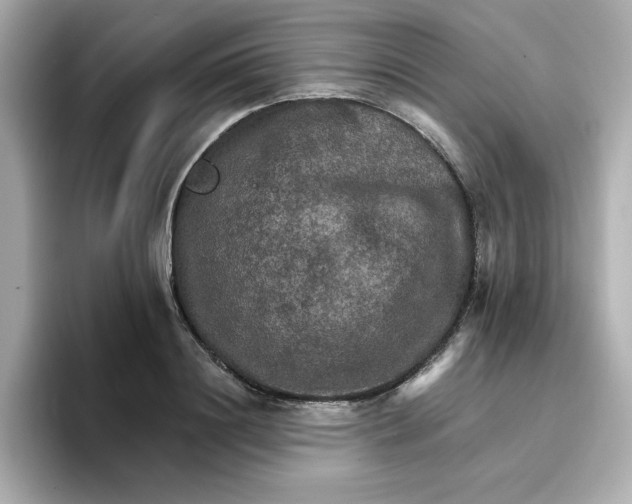 X0000096660844200802261341