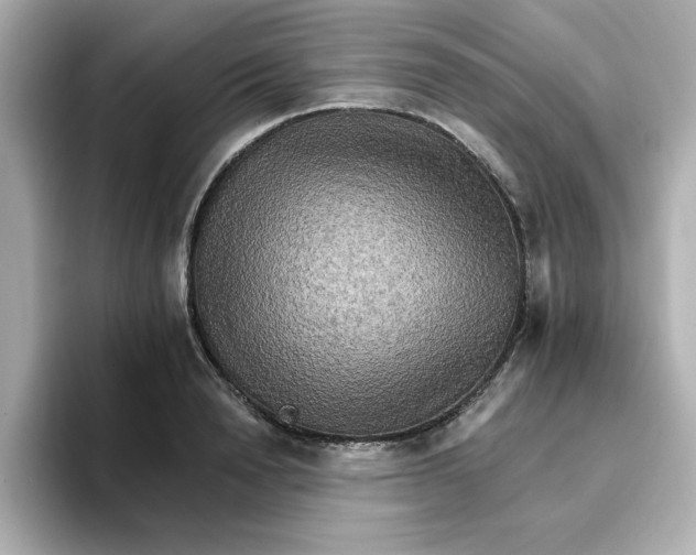 X0000096660846200802261341