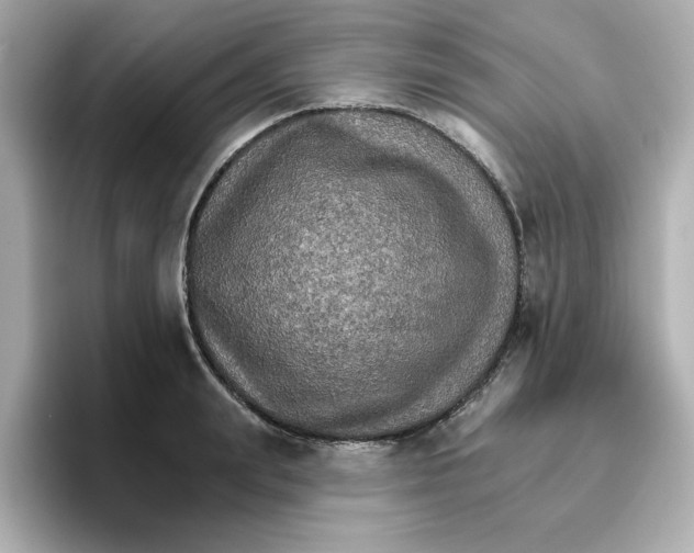 X0000096660847200802261341