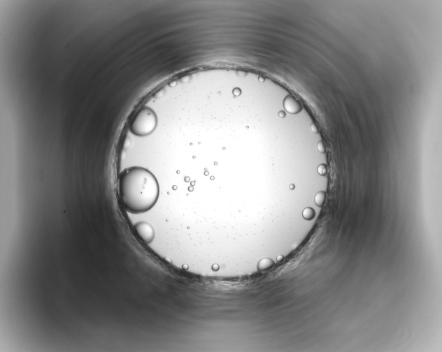 X0000096660848200802261341