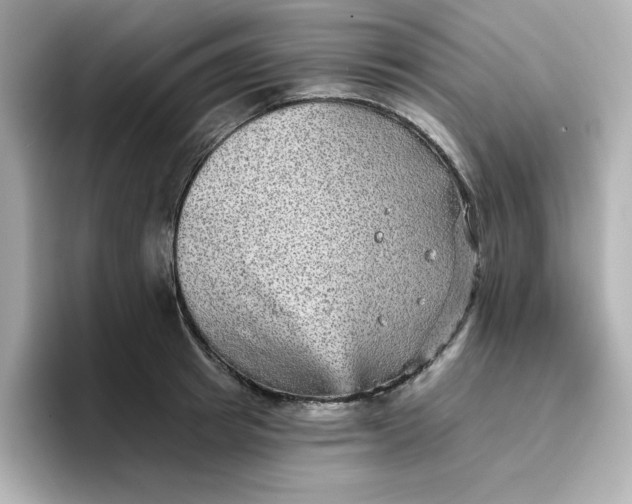 X0000096660849200802261341