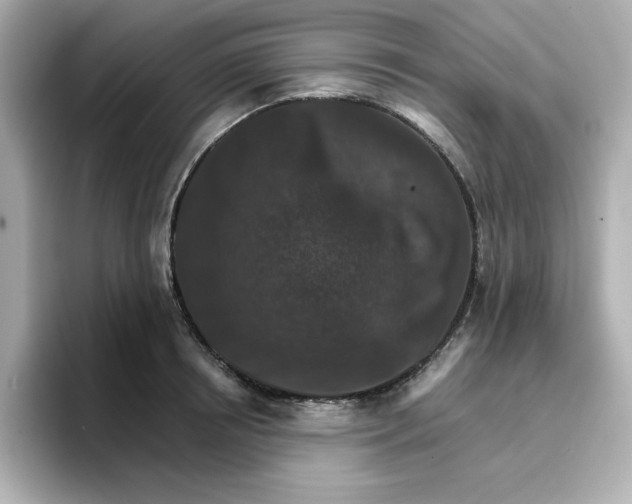 X0000096660850200802261341