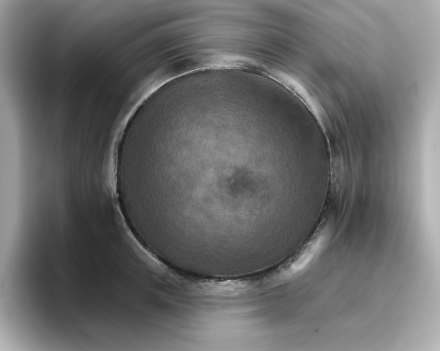 X0000096660851200802261341