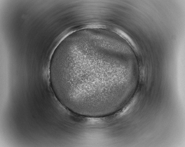 X0000096660852200802261341