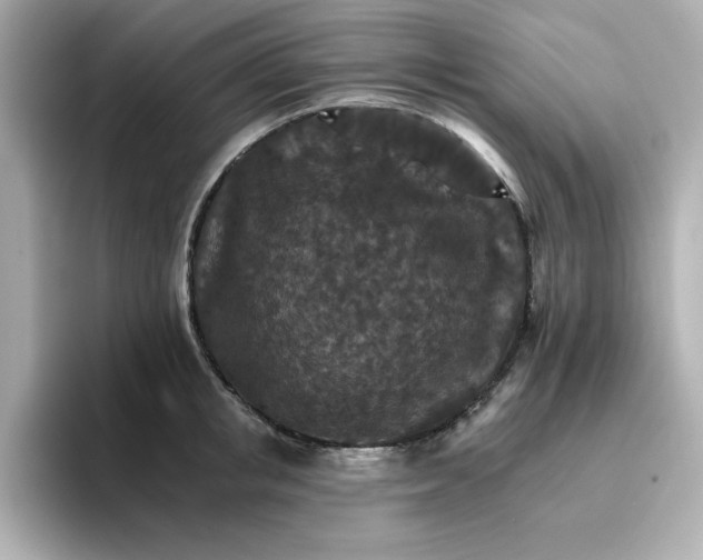 X0000096660853200802261341