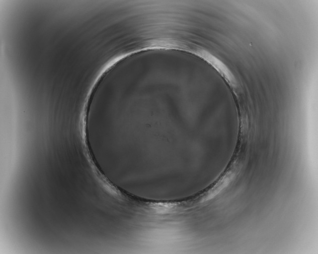 X0000096660854200802261341