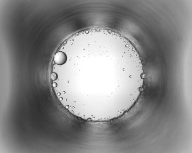 X0000096660856200802261341