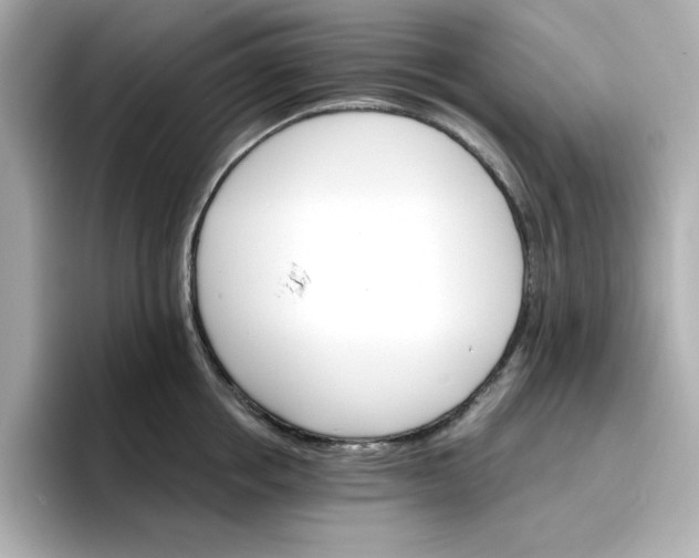 X0000096660858200802261341