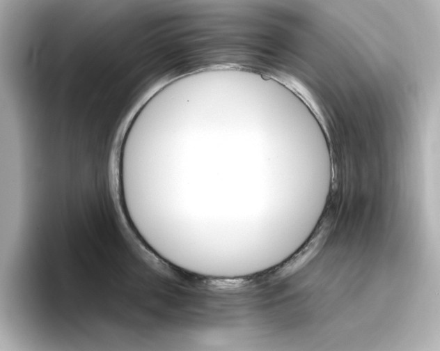 X0000096660859200802261341